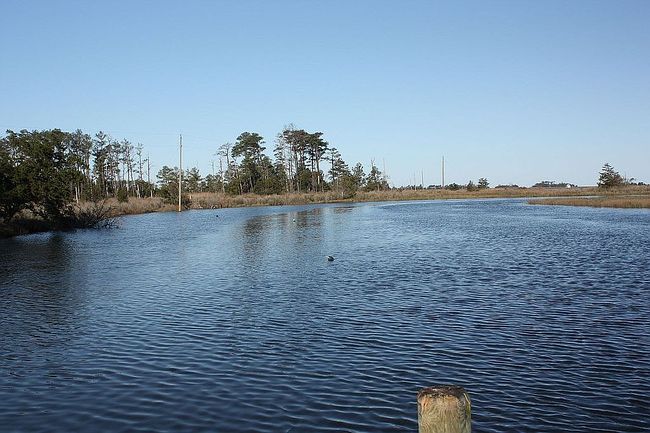 Image of Muddy Creek Road Lot9 Lot10 Lota