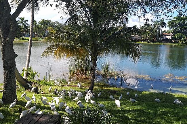 Image of 6445 Sw 52nd St