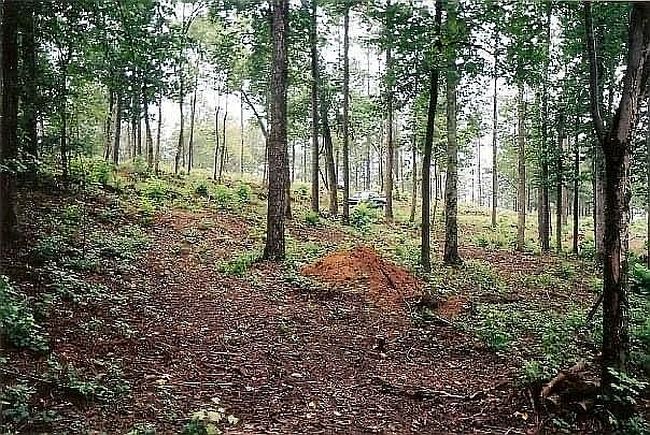 Photo of 60 Brushy Ln, Arley, AL