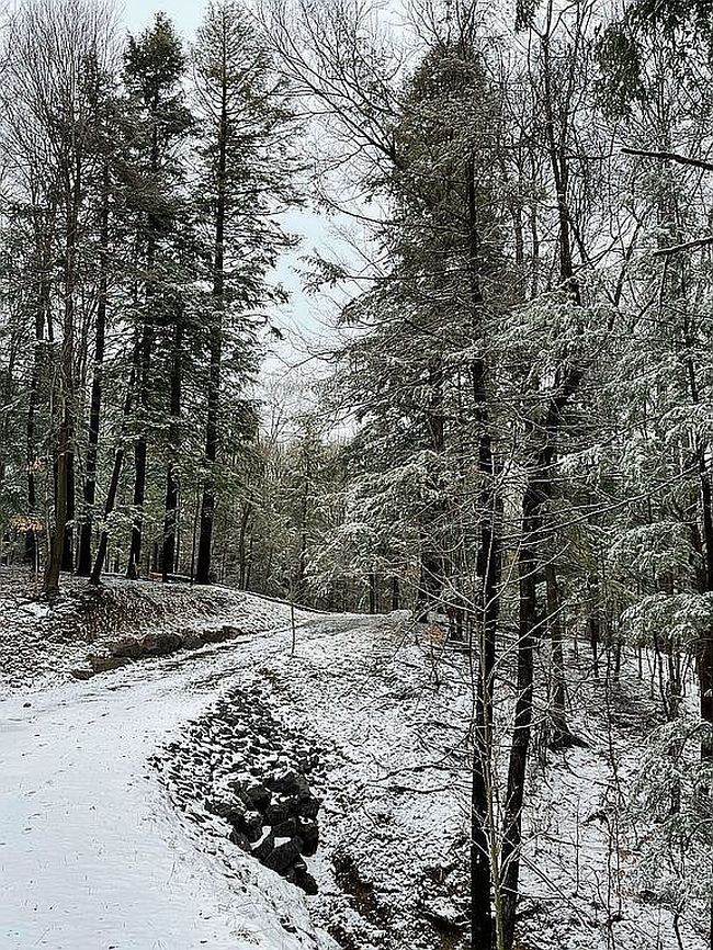 Image of 6519 Rice Rd