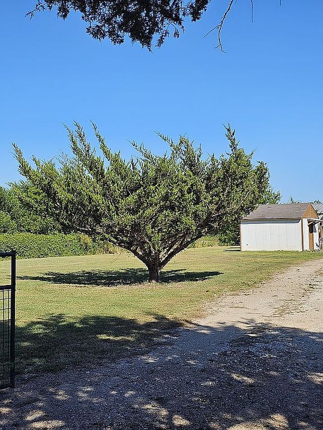 Photo of 7951 County Road 2582, Royse City, TX