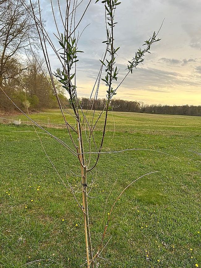 Photo of 7501 Morse Rd, New Albany, OH