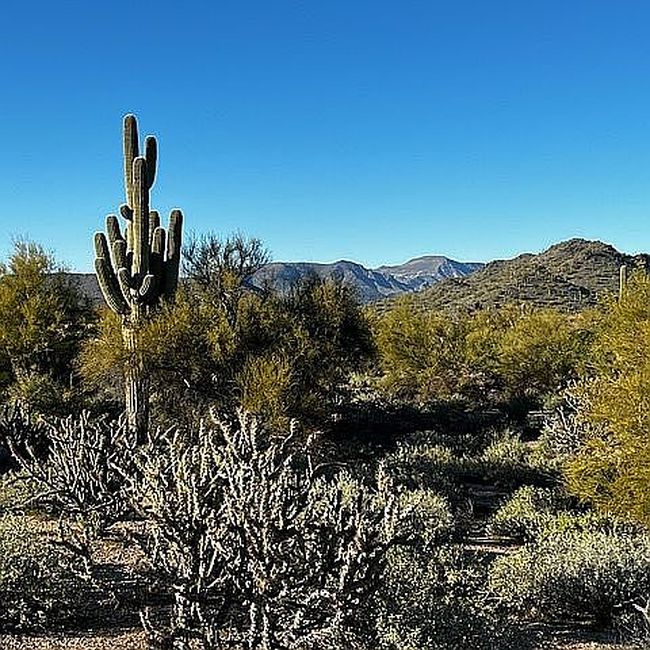 Image of 5580 E El Sendero Dr