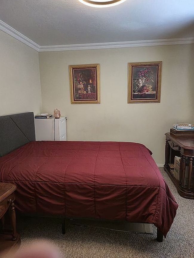 Image of 294 Trotter Dr