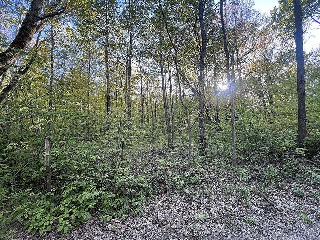 Photo of Autumn Dr, Saint Helen, MI
