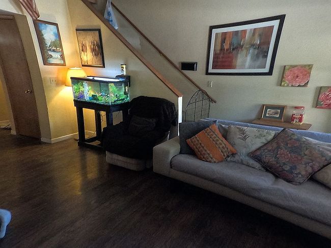 Photo of 2405 E Eva Loop, Flagstaff, AZ