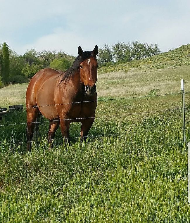 Photo of 3441 Butte Rd, Emmett, ID