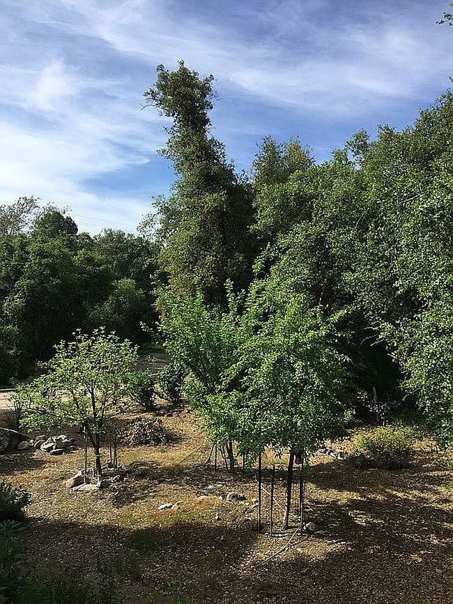 Image of 44819 Tyler Creek Dr