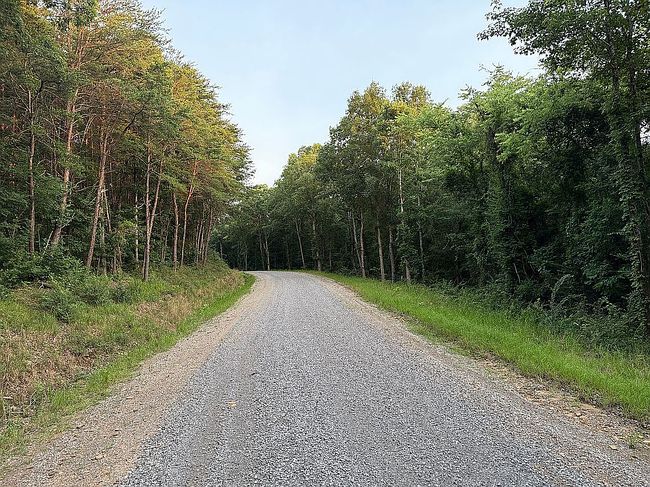 Photo of 0 Staples Hollow Rd Se, Falkville, AL