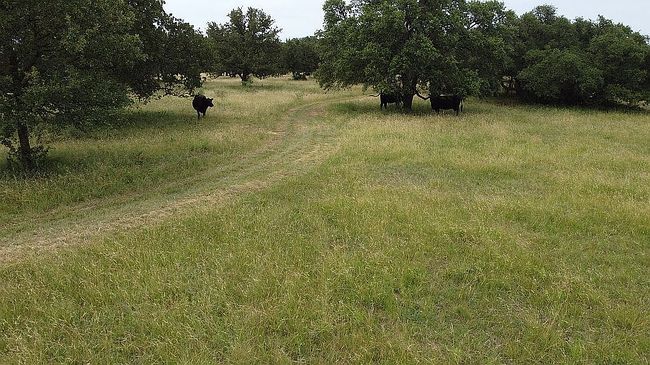 Photo of 1128 County Road 162, Burkett, TX