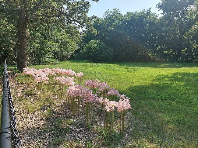 Image of 16475 N Highway 82