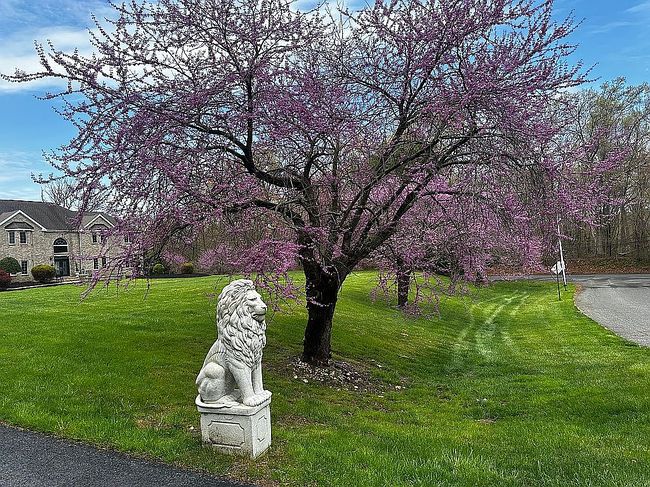 Photo of 1 Fountayne Ln, Manalapan, NJ