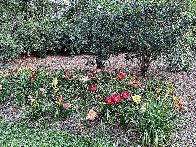Photo of 3 Coventry Ct, North Augusta, SC