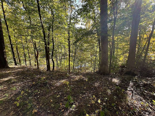Image of 0 W Lakeview Dr #15