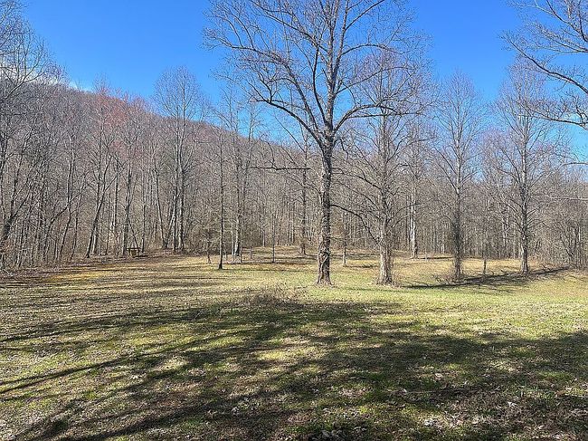 Image of 453 Ryans Creek Rd