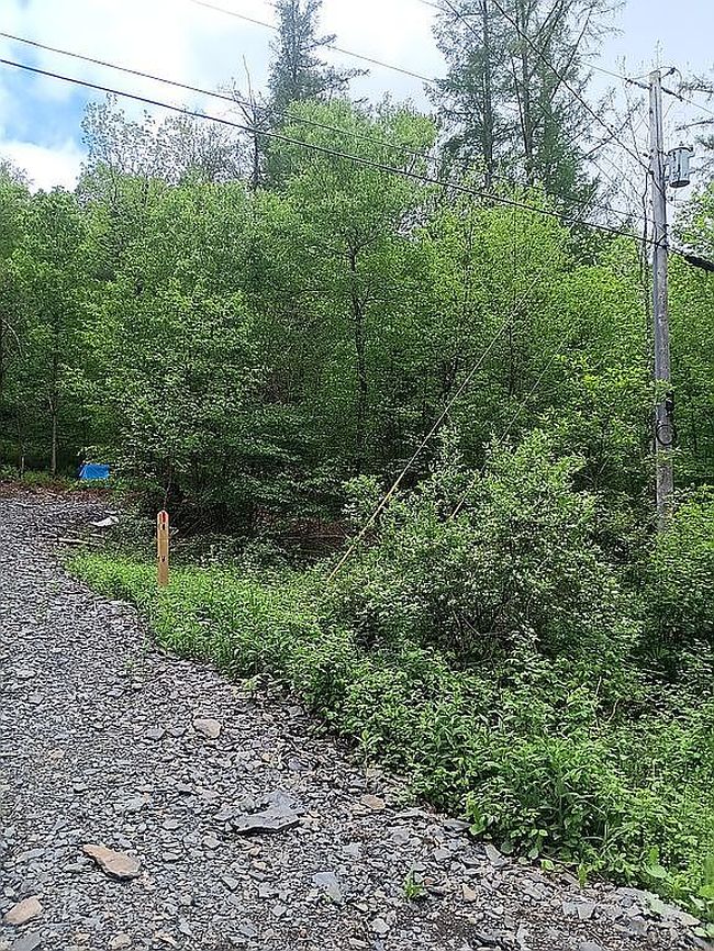 Photo of 316 Bardin Rd, Mount Vision, NY