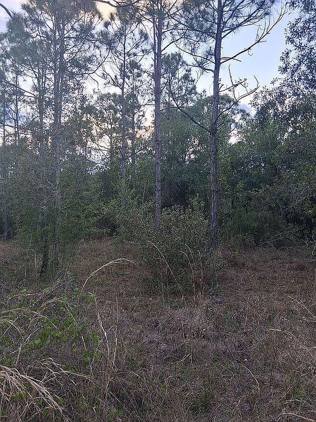 Photo of 10011 Saint Paul Rd, North Fort Myers, FL