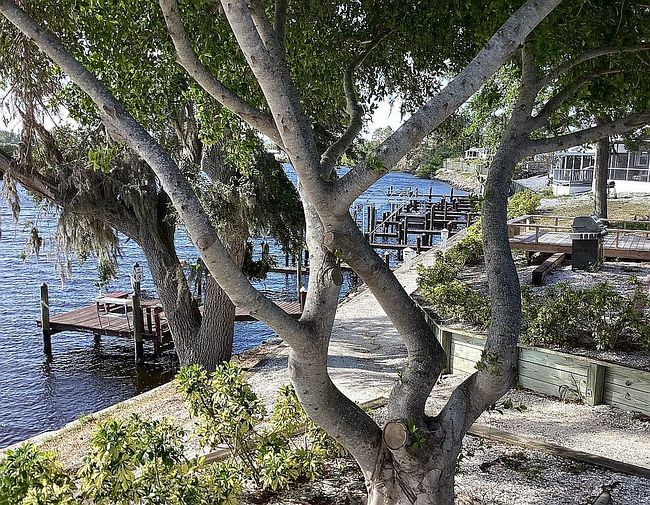 Photo of 2900 S Us Highway 41 #1406, Ruskin, FL