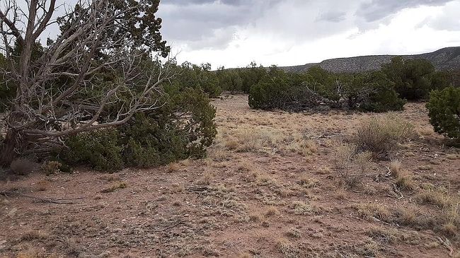 Photo of 92 Tenabo Trl, Mountainair, NM