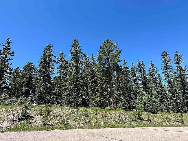 Photo of 404 Silvermoon Hts, Divide, CO