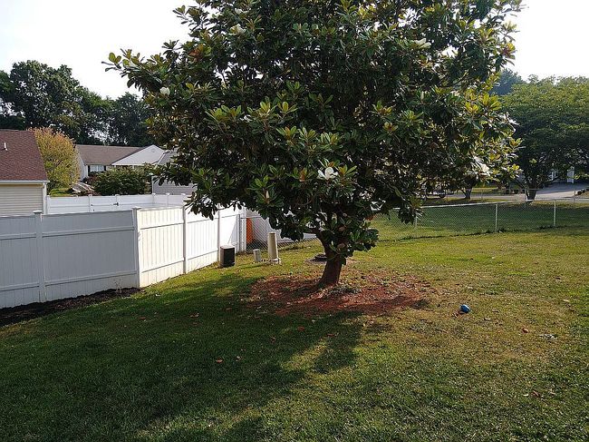 Image of 305 Lancelot Ln