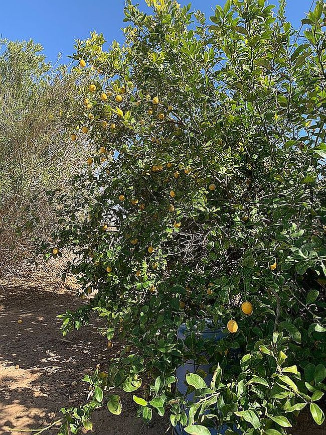 Image of 16329 S Loma Linda Ave
