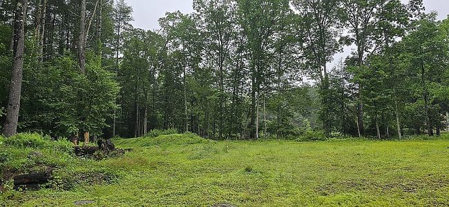 Photo of 313 Prichards Rd, Hunlock Creek, PA
