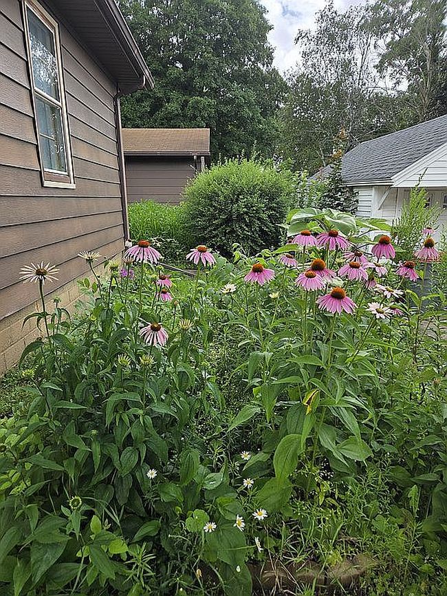 Photo of 1138 8th Ave Sw, Faribault, MN