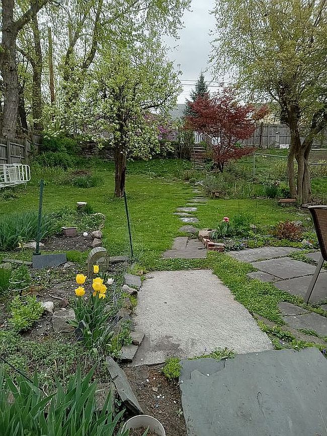 Photo of 319 Prospect Ave, Scranton, PA
