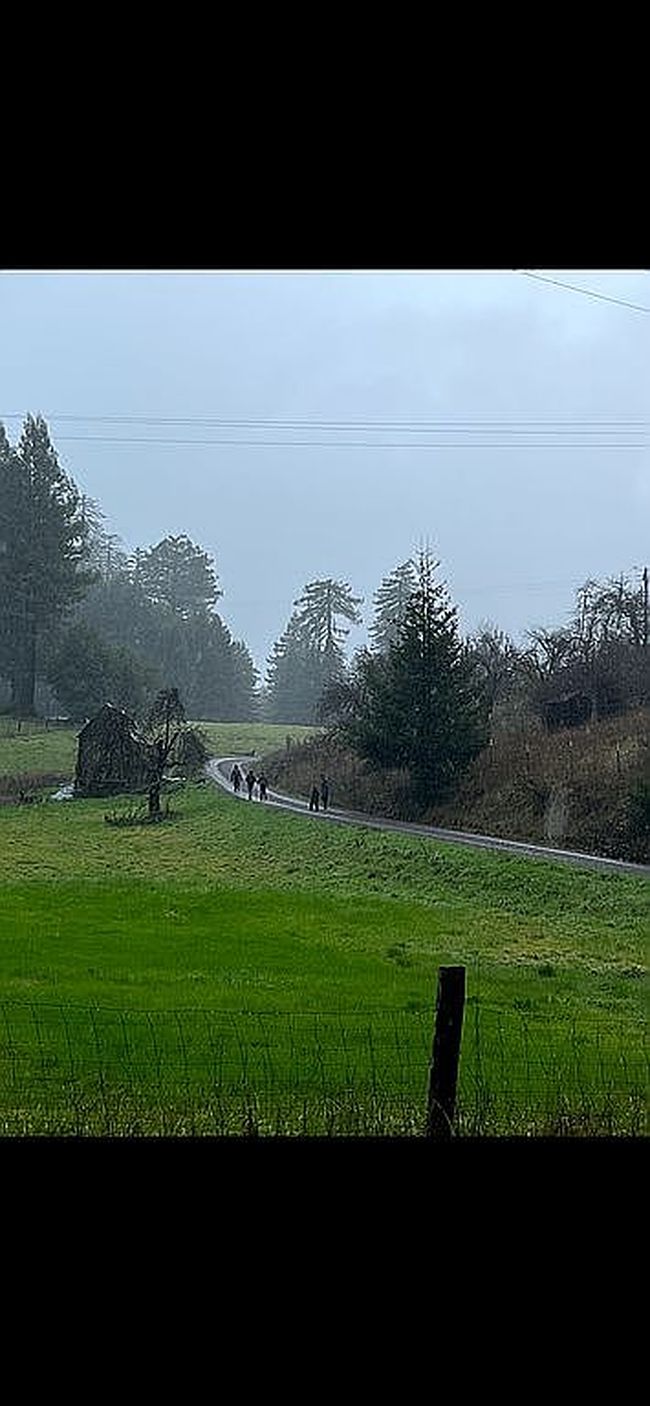 Image of 8475 Flynn Creek Rd