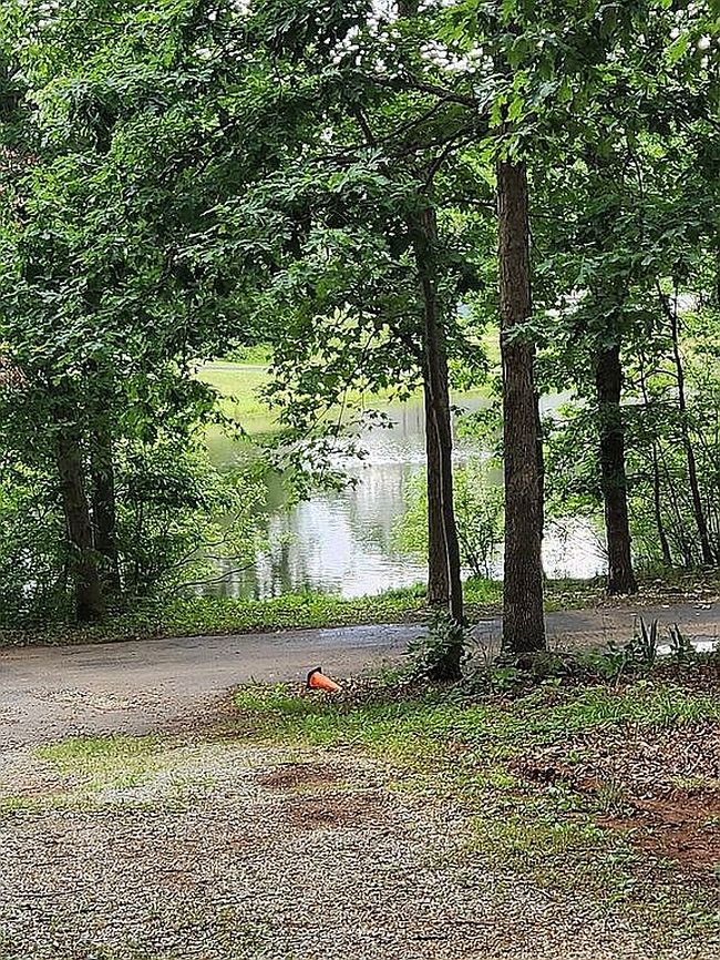 Image of 218 Cridland Dr