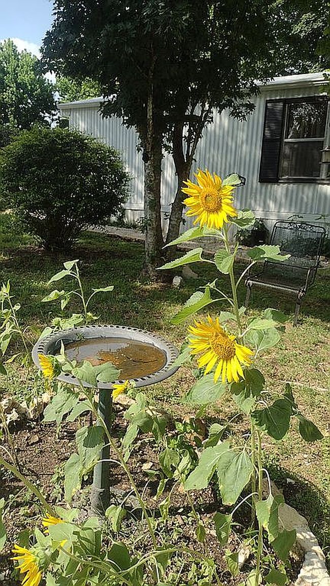 Additional photo 3 of property located at 113 September Ln