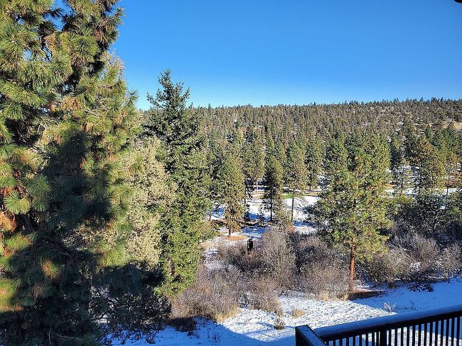 Image of 5023 Falcon Dr