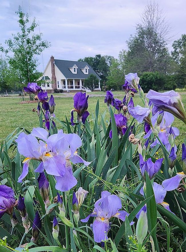 Image of 10200 Digger Ln