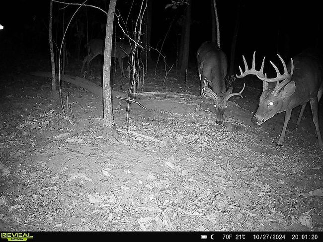 Photo of 801 Johnson Hollow Rd