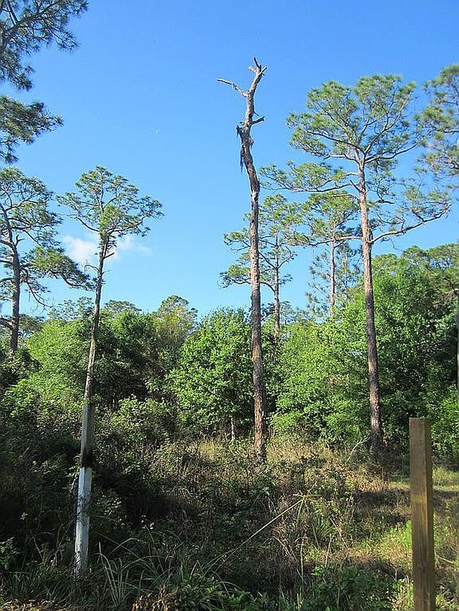 Image of 12751 State Road 31