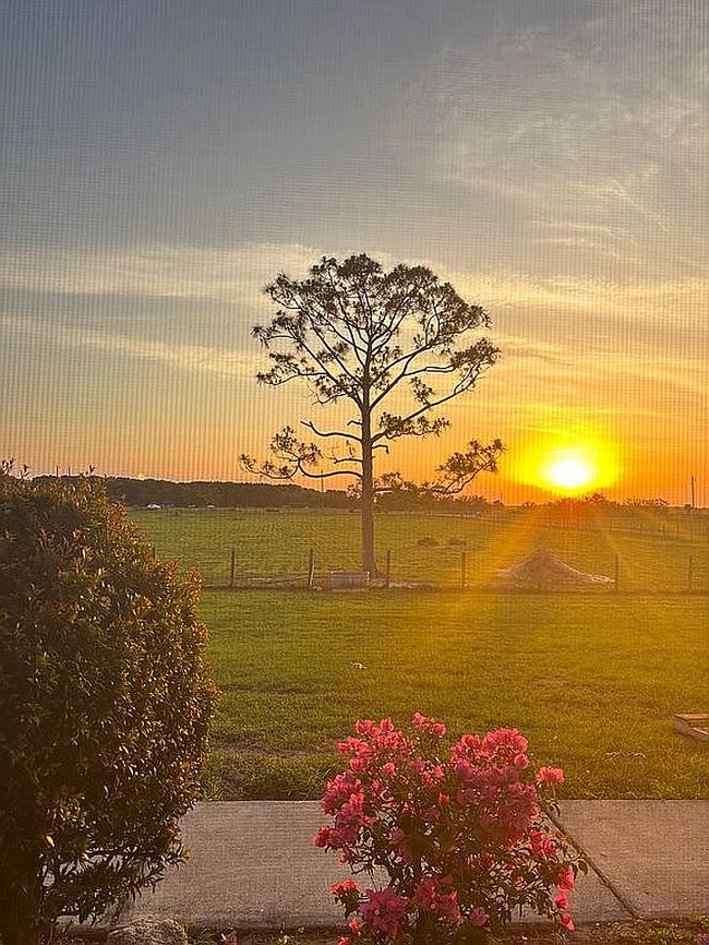 Photo of 3052 Ne 103rd Ave, Okeechobee, FL