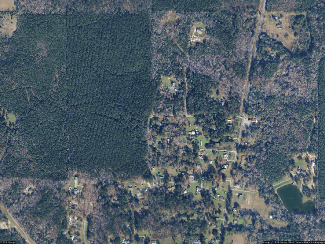 Photo of 233 Oak Forest Loop, Leesville, LA