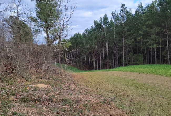 Preview of property located at 1321 River Road