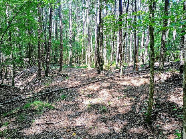 Photo of 519 Switch Rd Sw, Calhoun, GA