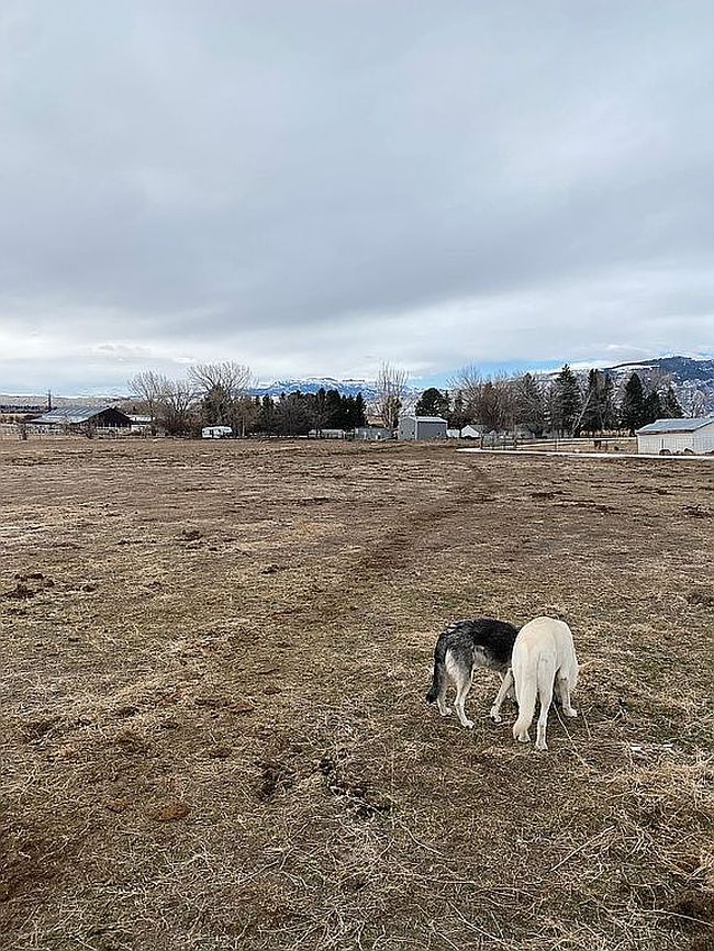 Photo of 46 Road 2Abn, Cody, WY