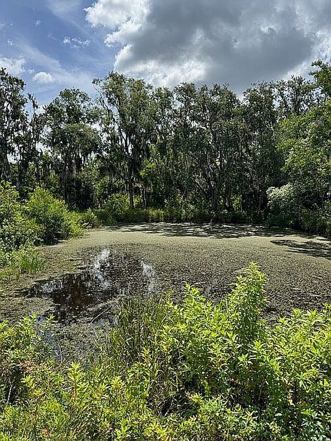 Photo of 6406 Bob Head Rd, Plant City, FL