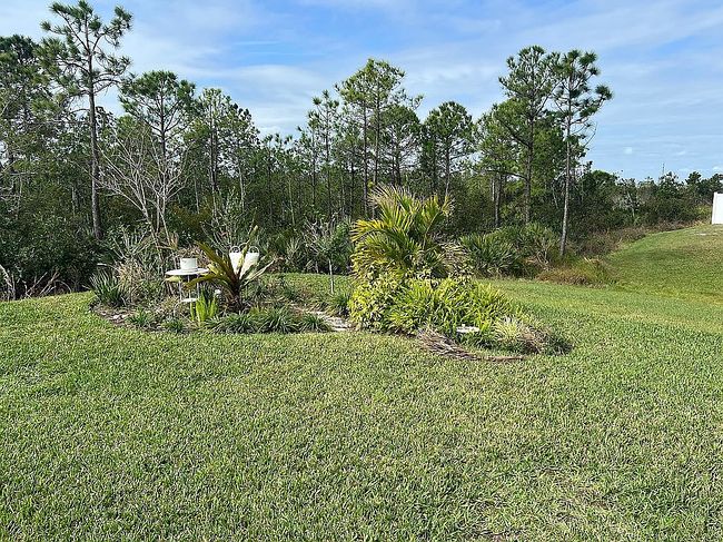 Image of 2711 Neverland Dr