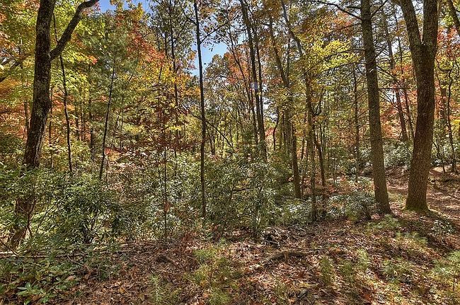 Photo of 0 Patterson Ln, Blue Ridge, GA