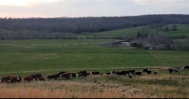 Photo of State Route 142, West Plains, MO