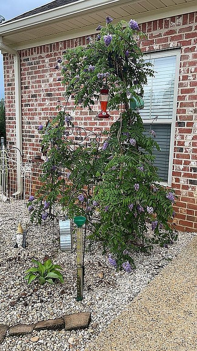 Photo of 4108 County Road 371, Enterprise, MS