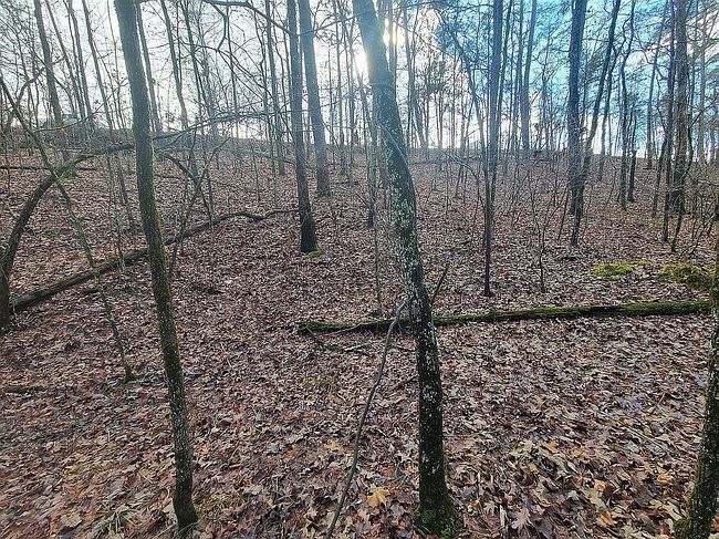 Photo of 35 Fiero Ln, Hot Springs Village, AR