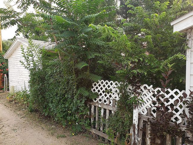 Image of 725 Lake St