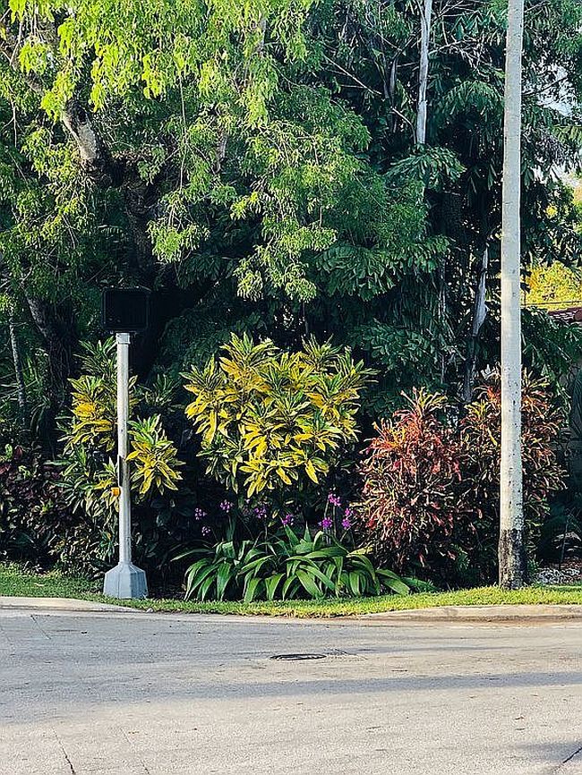 Additional photo 3 of property located at 4187 S Le Jeune Rd