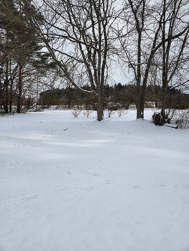 Photo of 381 Northern Potter Rd, Ulysses, PA
